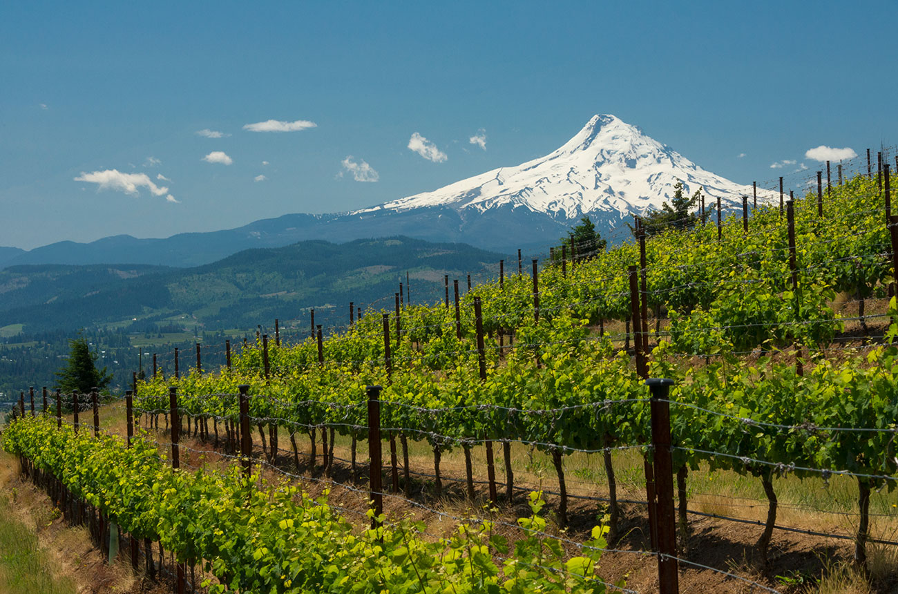Washington 2018 red wines