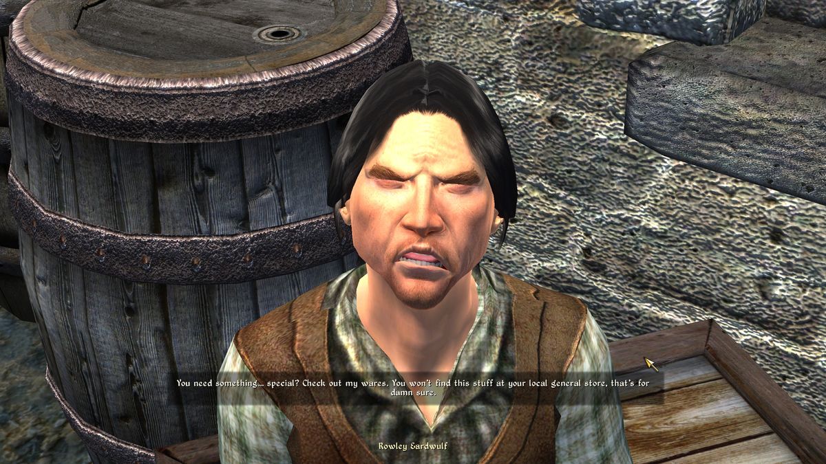 Oblivion modding