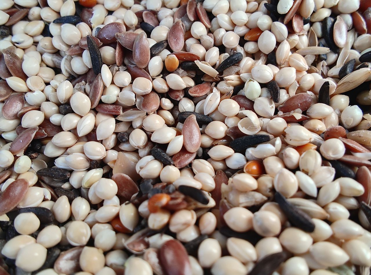 Macro photo taken with the Motorola Razr+.