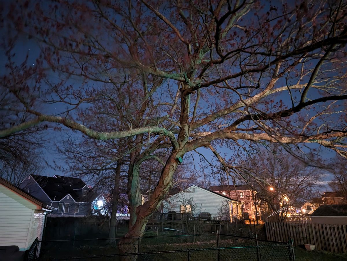 Google Pixel 8 Pro Low Light Sample.