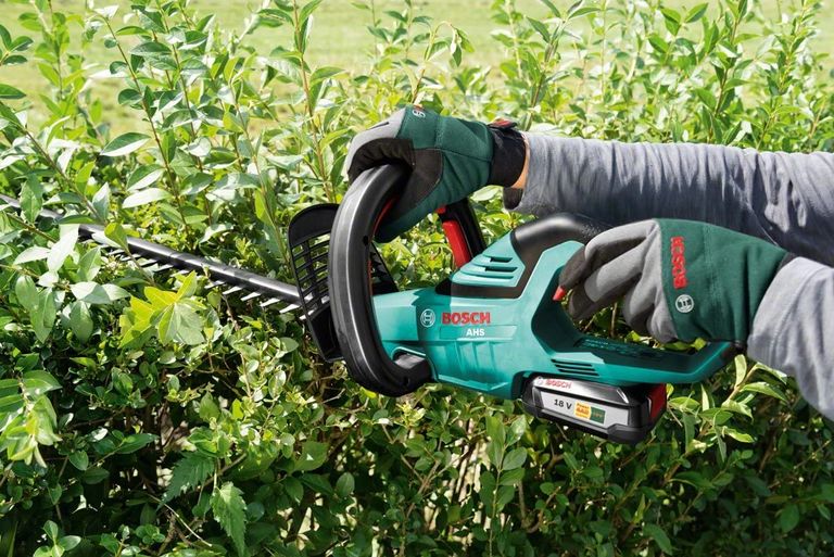 Wow! Save £55 on this Bosch cordless hedge trimmer for Amazon Prime Day