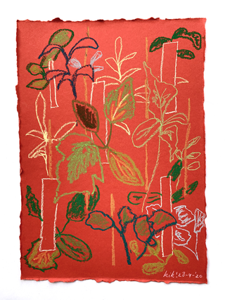 Drawing of plants on red card