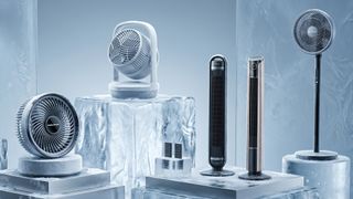 Selection of fans in an icy setting