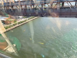 Samsung Galaxy Note 20 Ultra camera roll