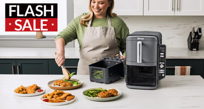 The Ninja Double Stack XL air fryer