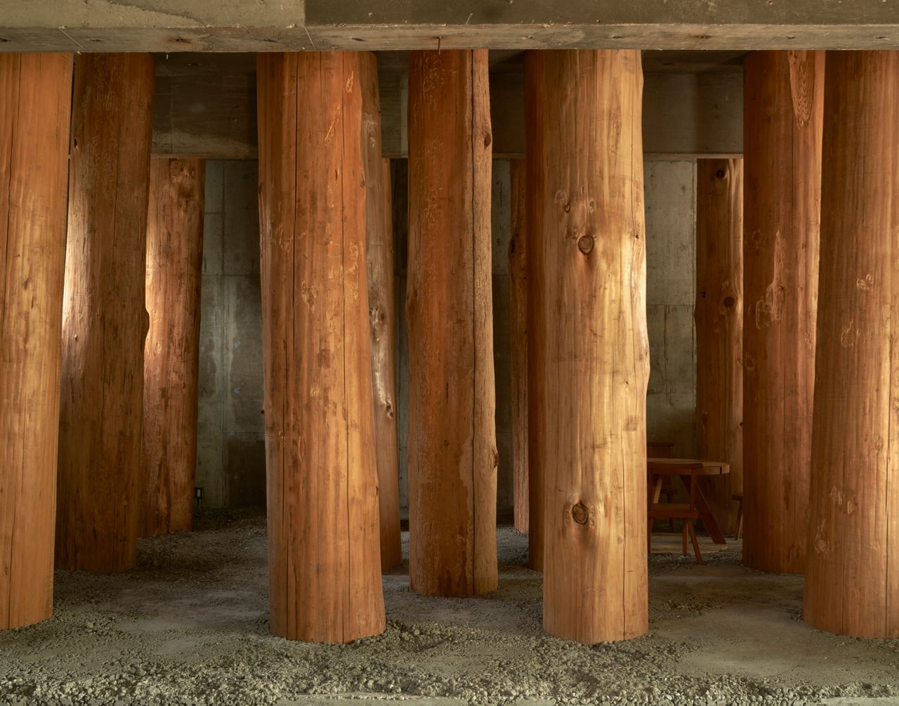  tree trunks seen in Forest office in Japan by Tomoaki Uno