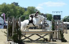 HorseNo947_RWHS15pn_13045.jpg