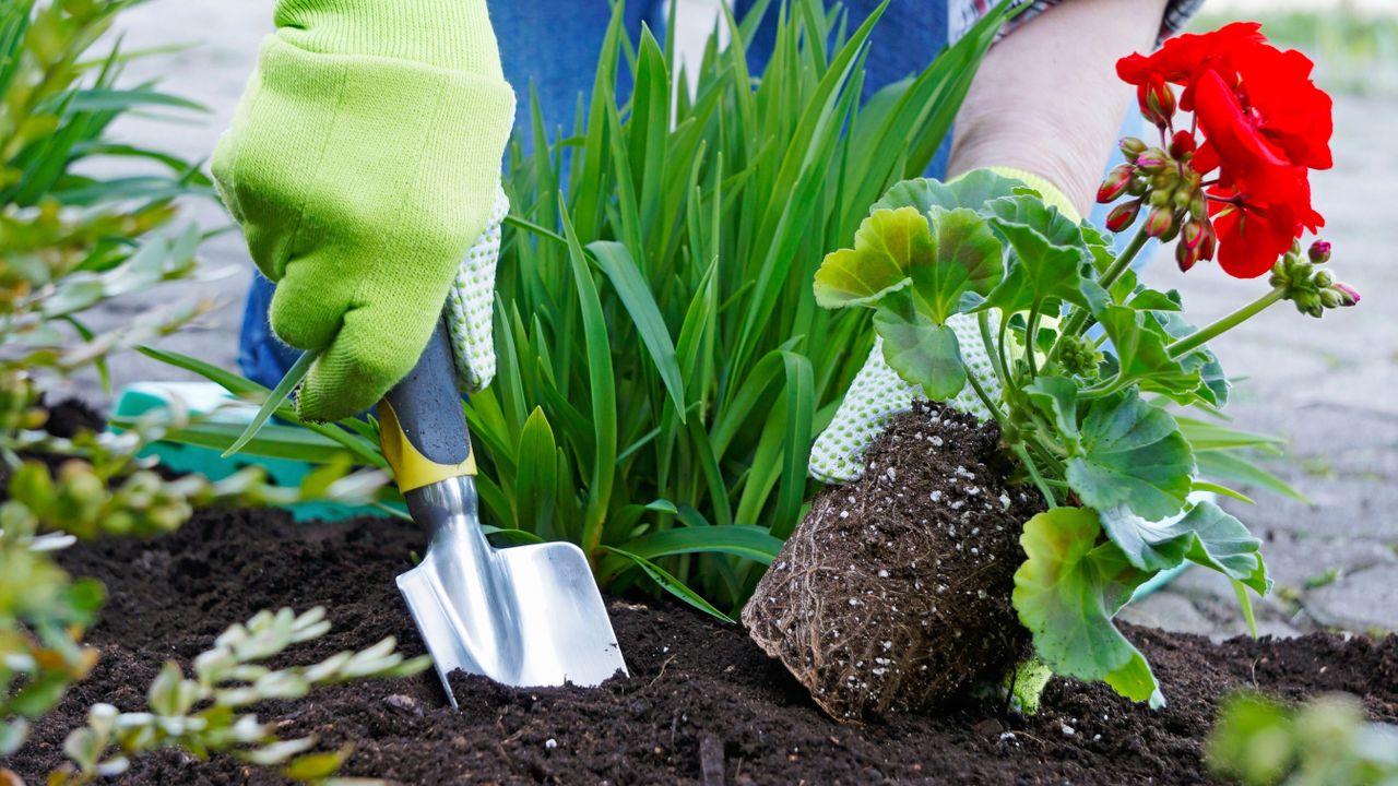 Guide to soil types: discover the best plants for your plot | Gardeningetc