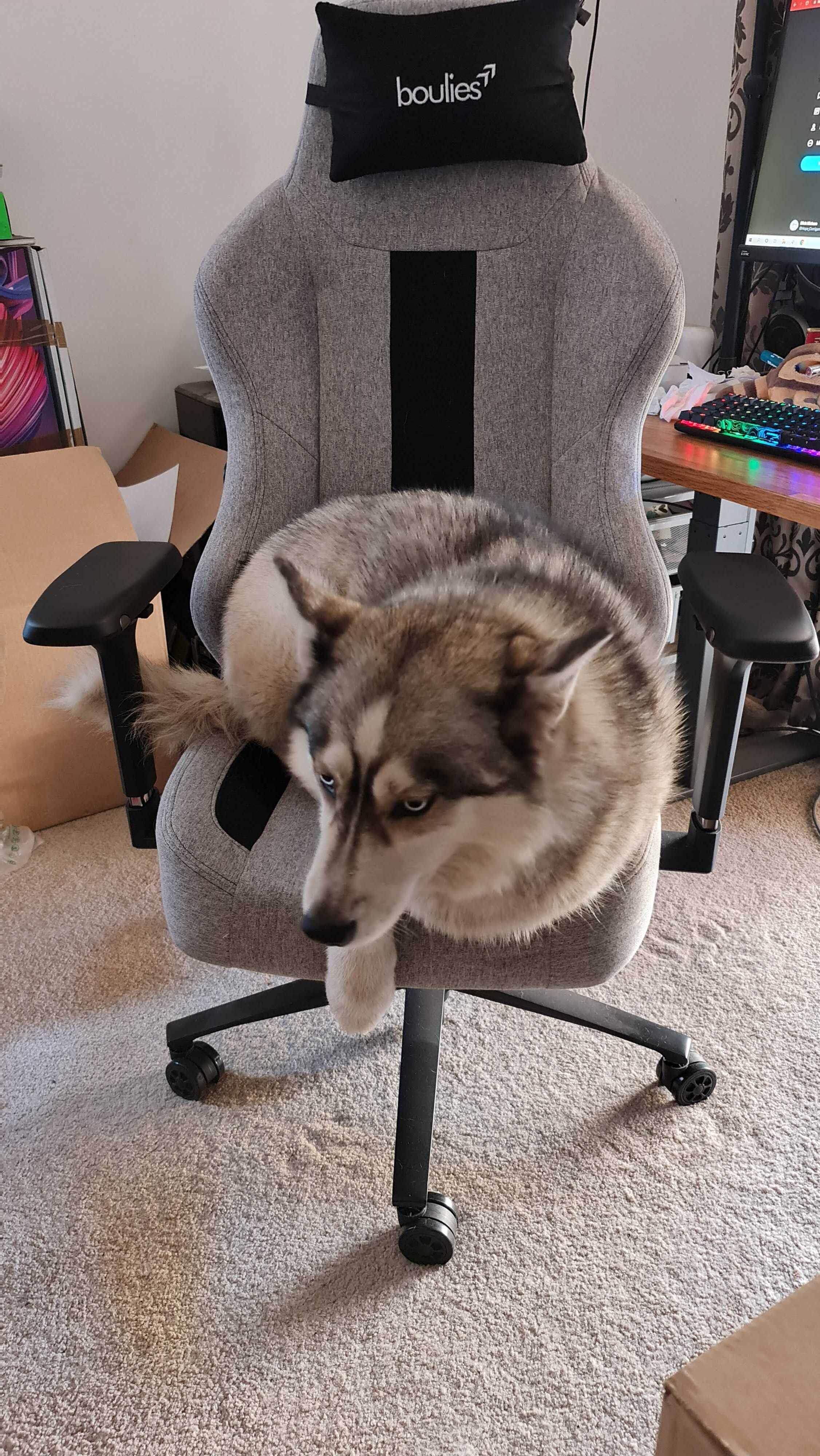 Boulies Master gaming chair