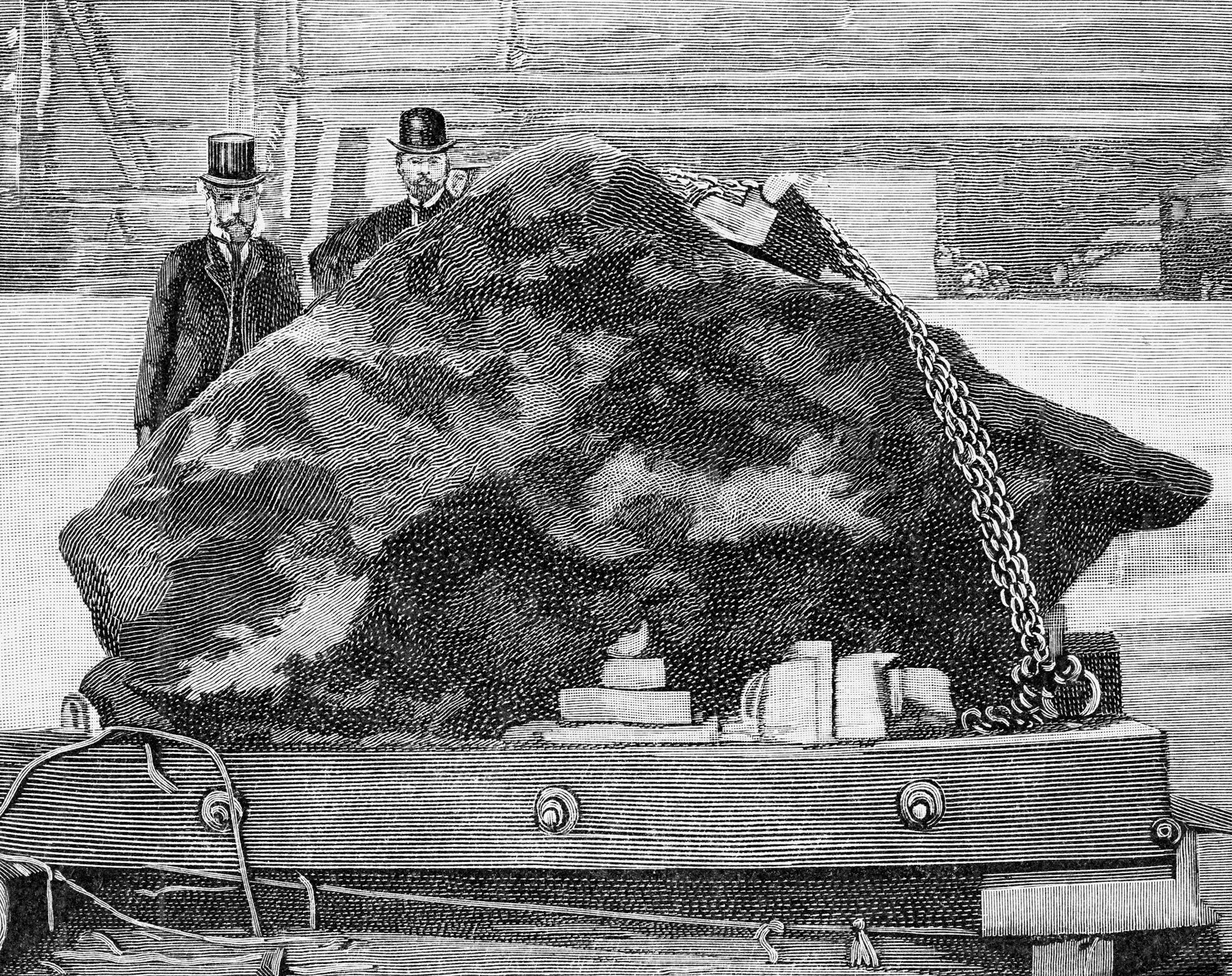 Drawing of Cape York Meteorite arriving in Brooklyn, 1897.