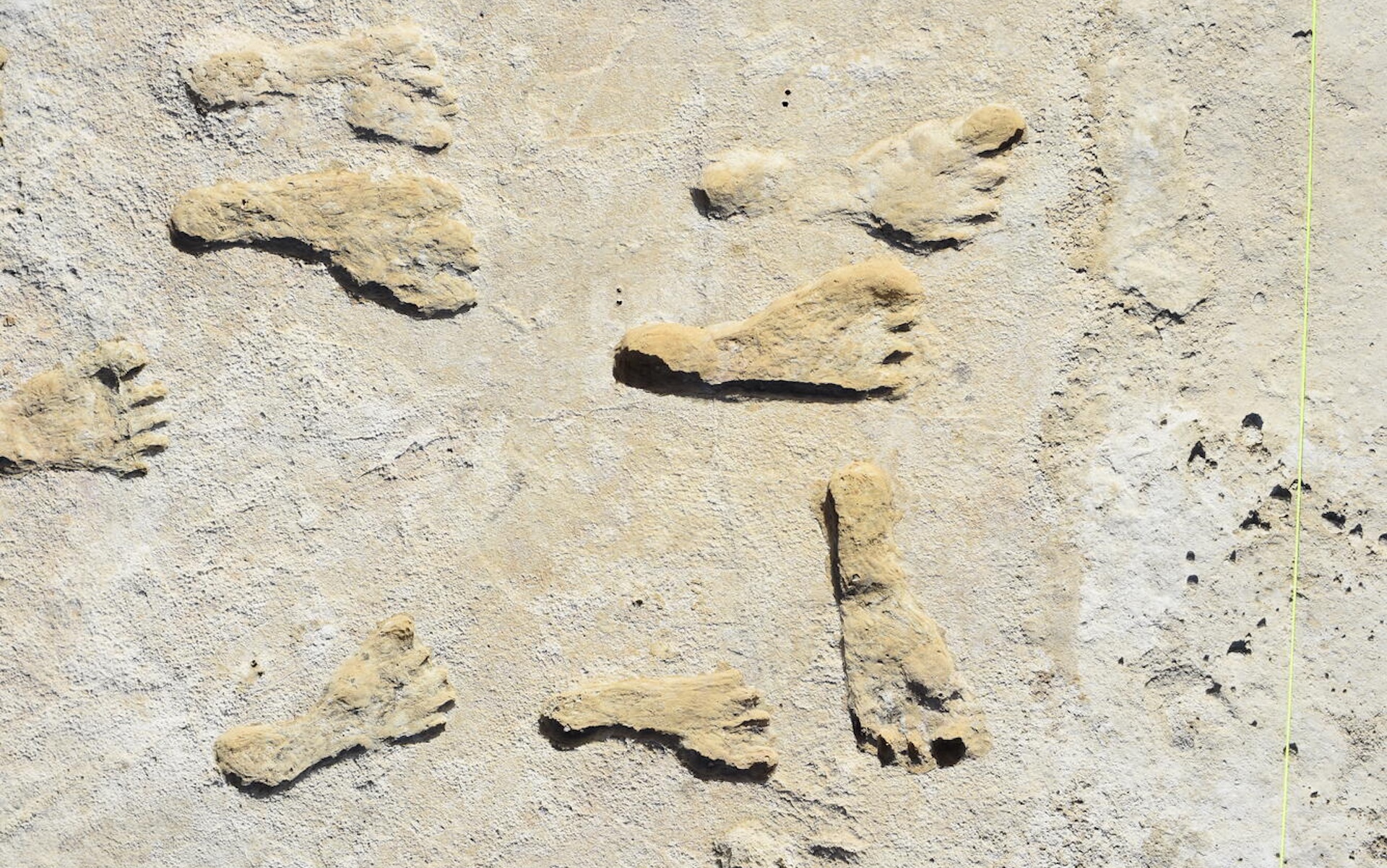 A photo of fossilized footprints in the sand