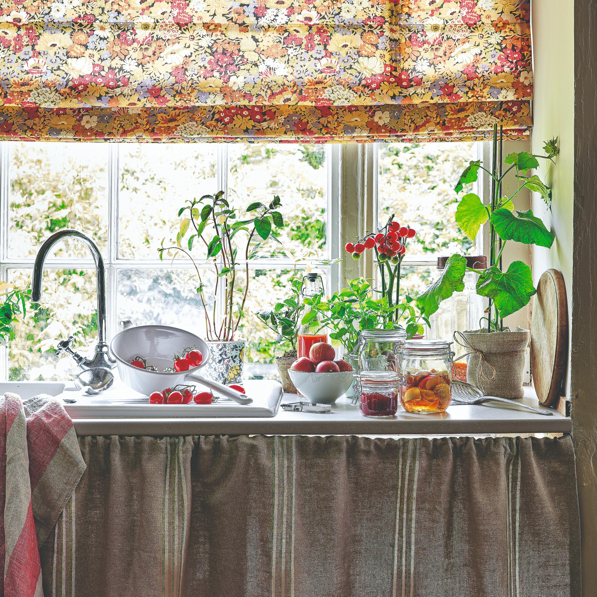 A kitchen with a kitchen garden with tomato plants and tomatoes in a colander on the kitchen worktop