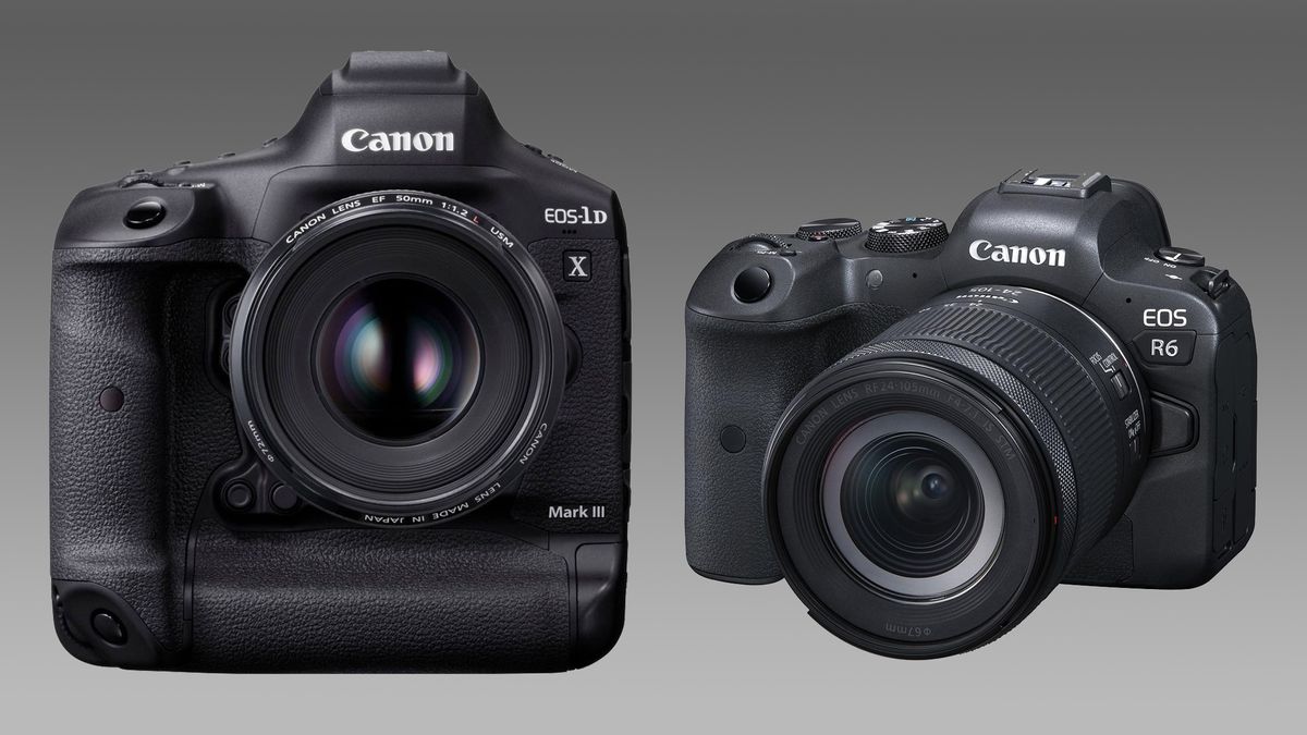 Canon EOS R6 and 1D X Mark III get big time video updates