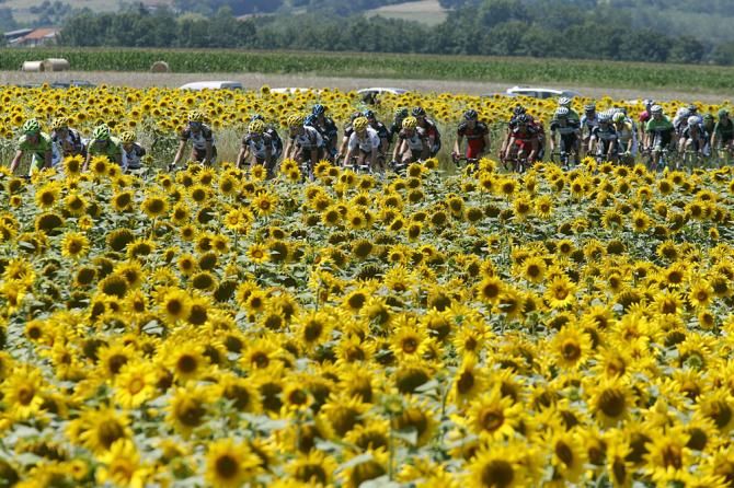 The peloton