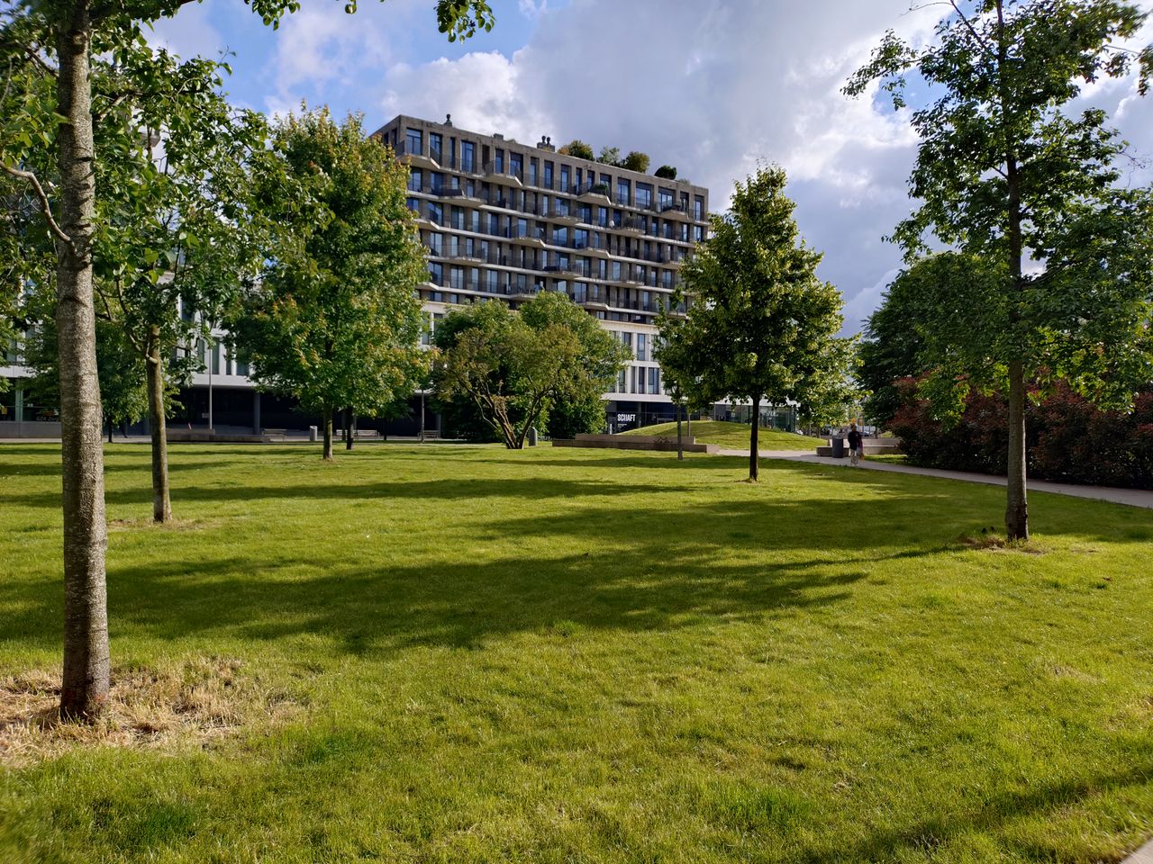 Sony Xperia 10 VI cameravoorbeeld
