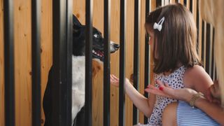 girl next to dog in adoption centre