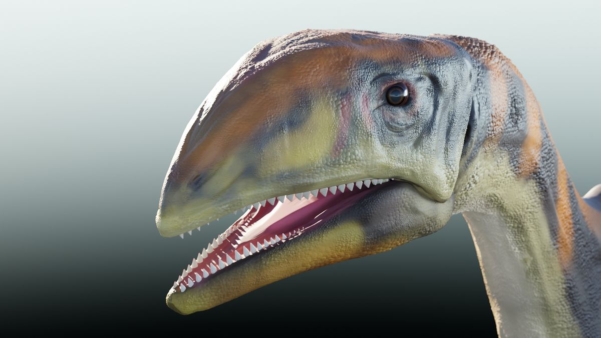 Triassic skulls unearthed in Greenland reveal 'cold bone' dinosaur