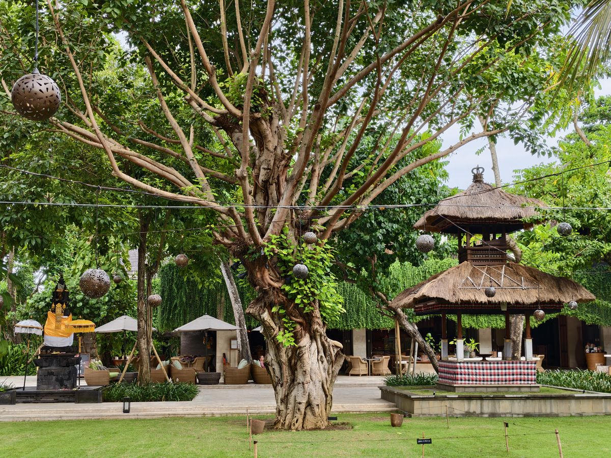iQOO 15 camera shots on Android Central