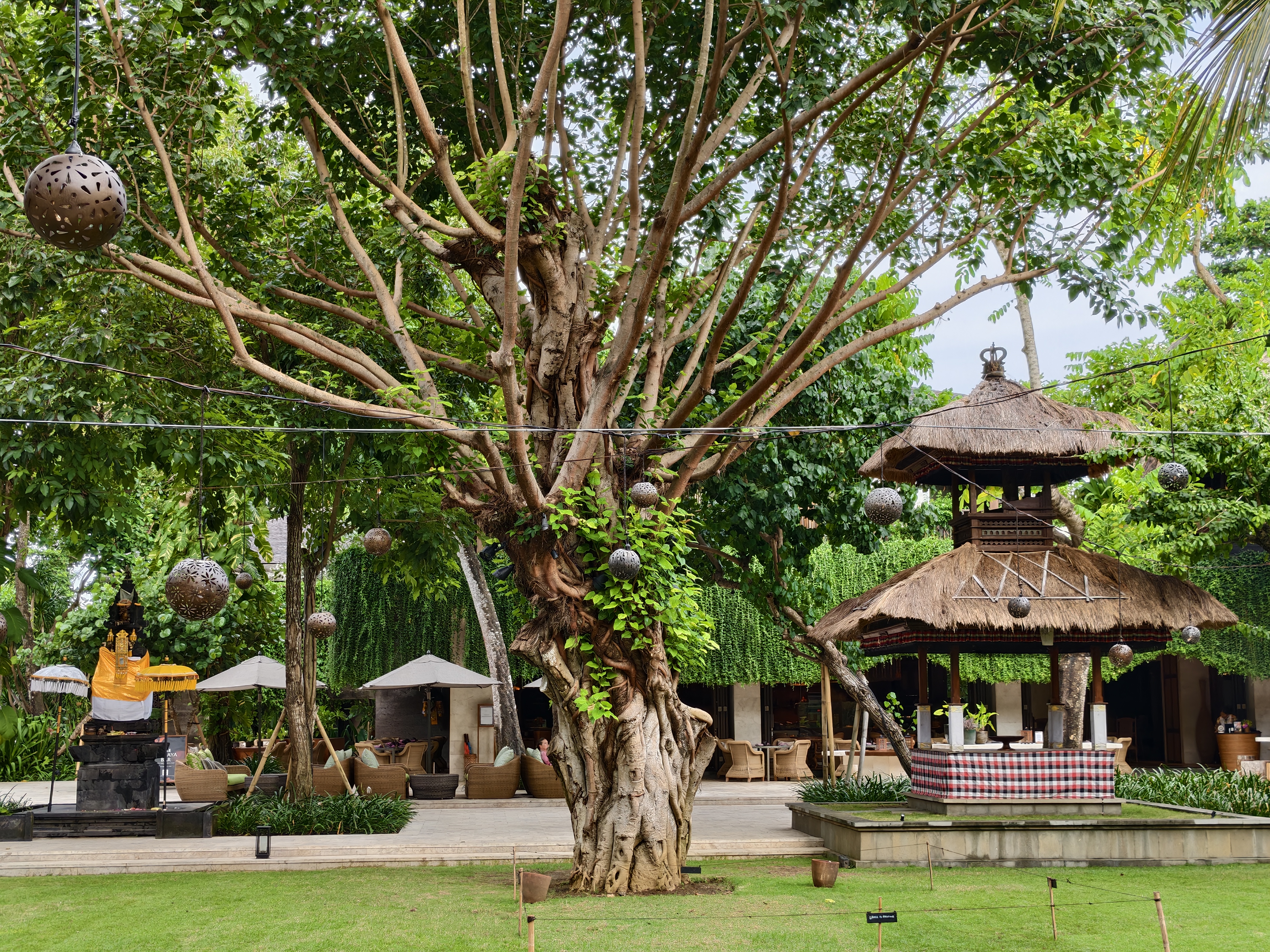 iQOO 15 camera shots on Android Central