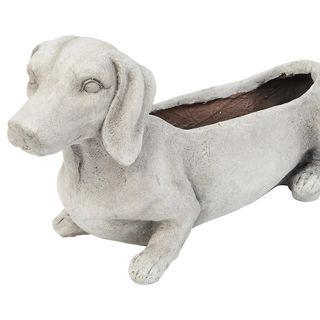 QVC Dog Planter