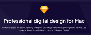 If you're doing a lot of UX, mobile or web design, Sketch is definitely worth a look