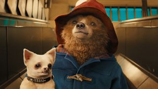 Paddington on London Underground holding a small dog