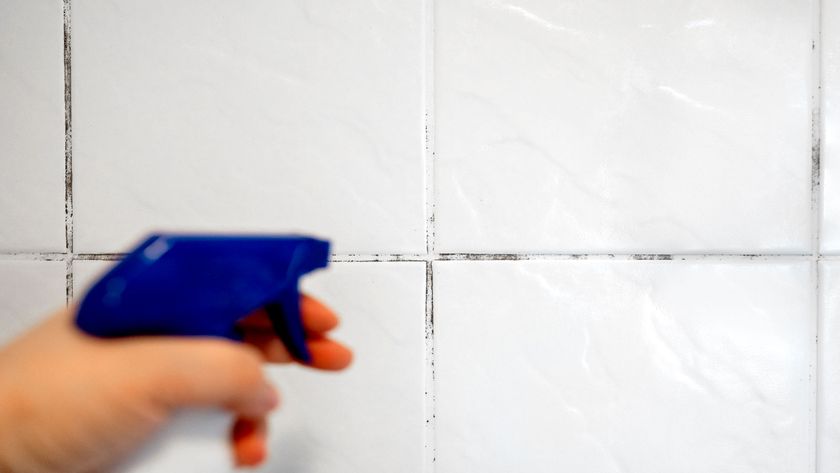 Blue topped spray bottle applying solution to white tiles with black mould in the grout