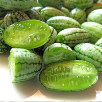 Premier Seeds Direct ' Cucamelons | £2.20 for 65 seeds via Amazon