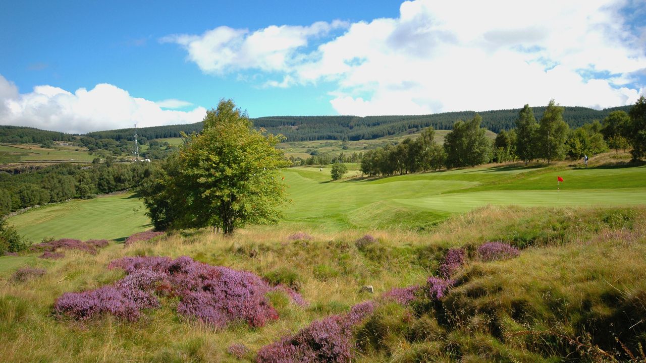 Mountain Ash Golf Club - general view