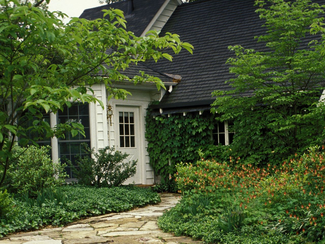 How to make a small front yard look bigger 10 stylish tips Homes