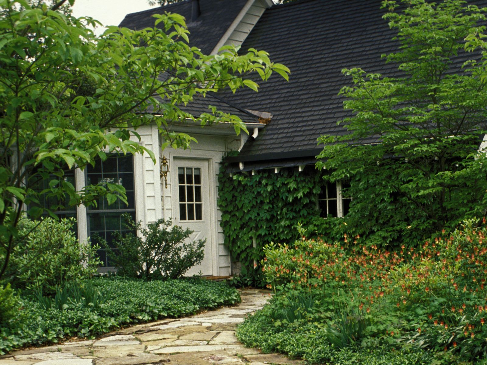 How to make a small front yard look bigger 10 stylish tips Homes