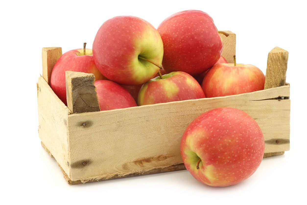 Storing Apples - How To Preserve Apples From The Garden