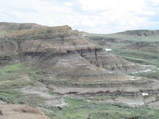 Rock layers near Jordan, Mont., exposing the level (lower arrow) where the dinosaurs and many other animals and plants went extinct. The arrows point to coal beds which contain thin volcanic ash layers that were dated.