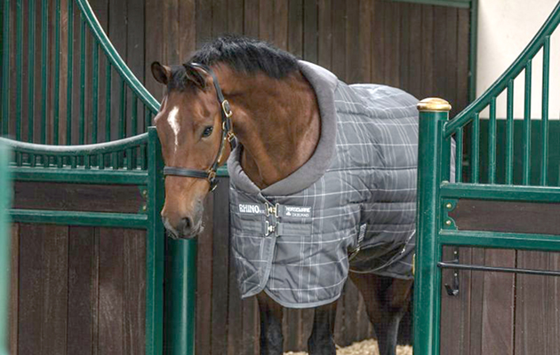 Horseware Rambo stable rug review