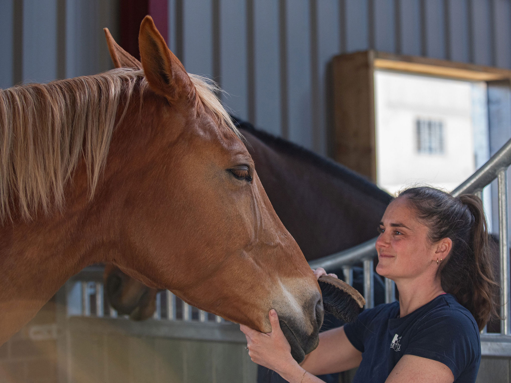 Horse trainer Miri Hacket smiles as she looks at a tall chestnut horse with her hands softly cradling its chin and face