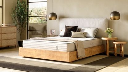 最好的有机床垫床架在现代卧室与植物