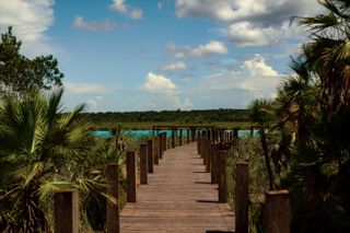 path leading to the lagoon at boca de agua hotel