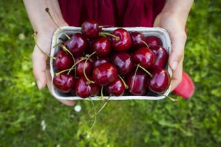 person holding a punnet of cherries