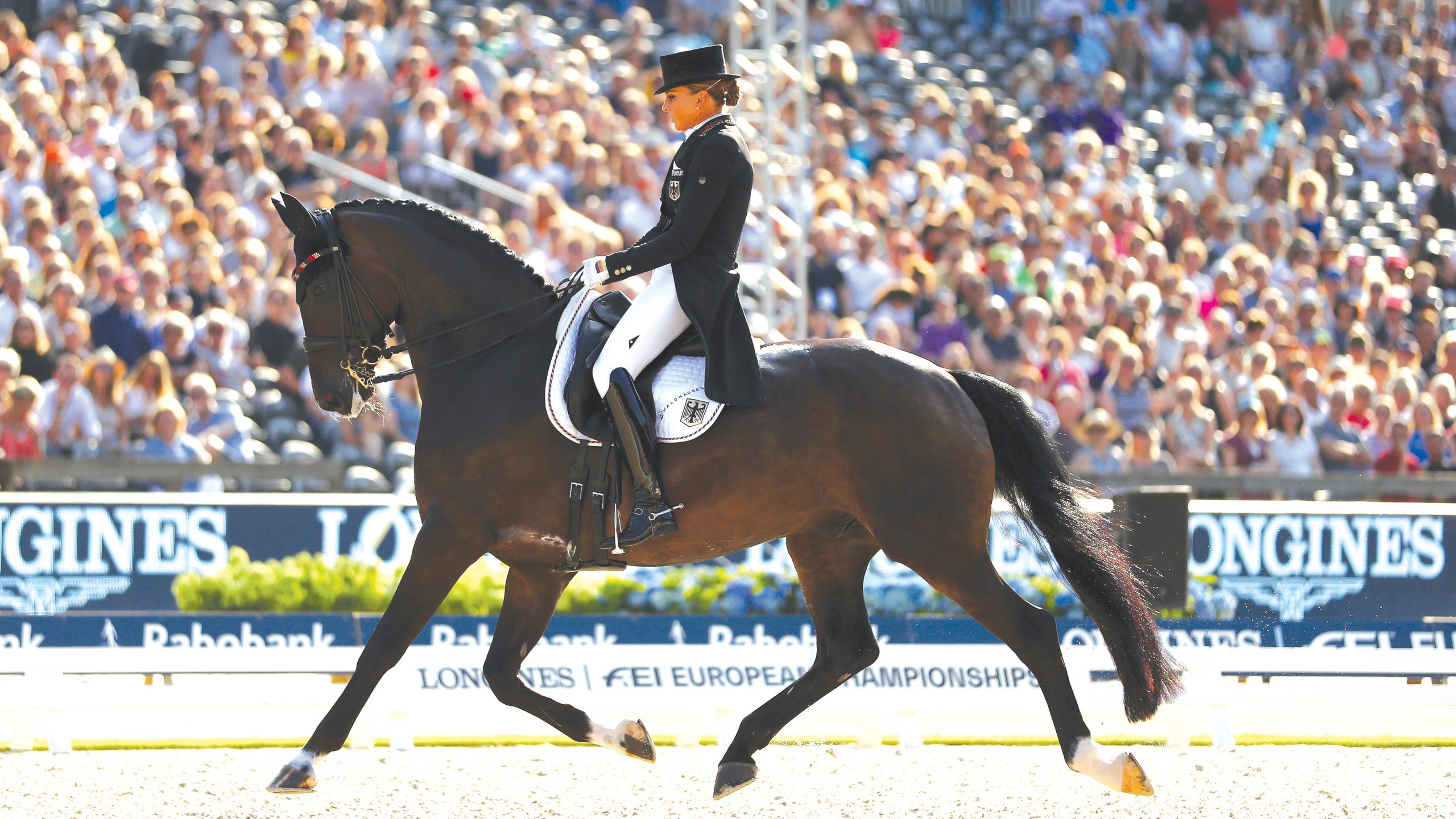 ROTTERDAM, NETHERLANDS - AUGUST 24: Dorothee Schneider of Germany riding Showtime FRH competes during Day 6 of the Grand Prix Freestyle, Longines FEI Dressage European Championship presented by Rabobank at Foundation CHIO on August 24, 2019 in Rotterdam, Netherlands. (Photo by Dean Mouhtaropoulos/Getty Images for FEI)