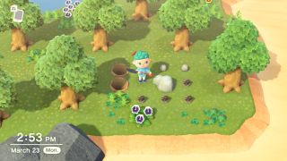 Animal Crossing New Horizons Rock Trick Iron Nuggets