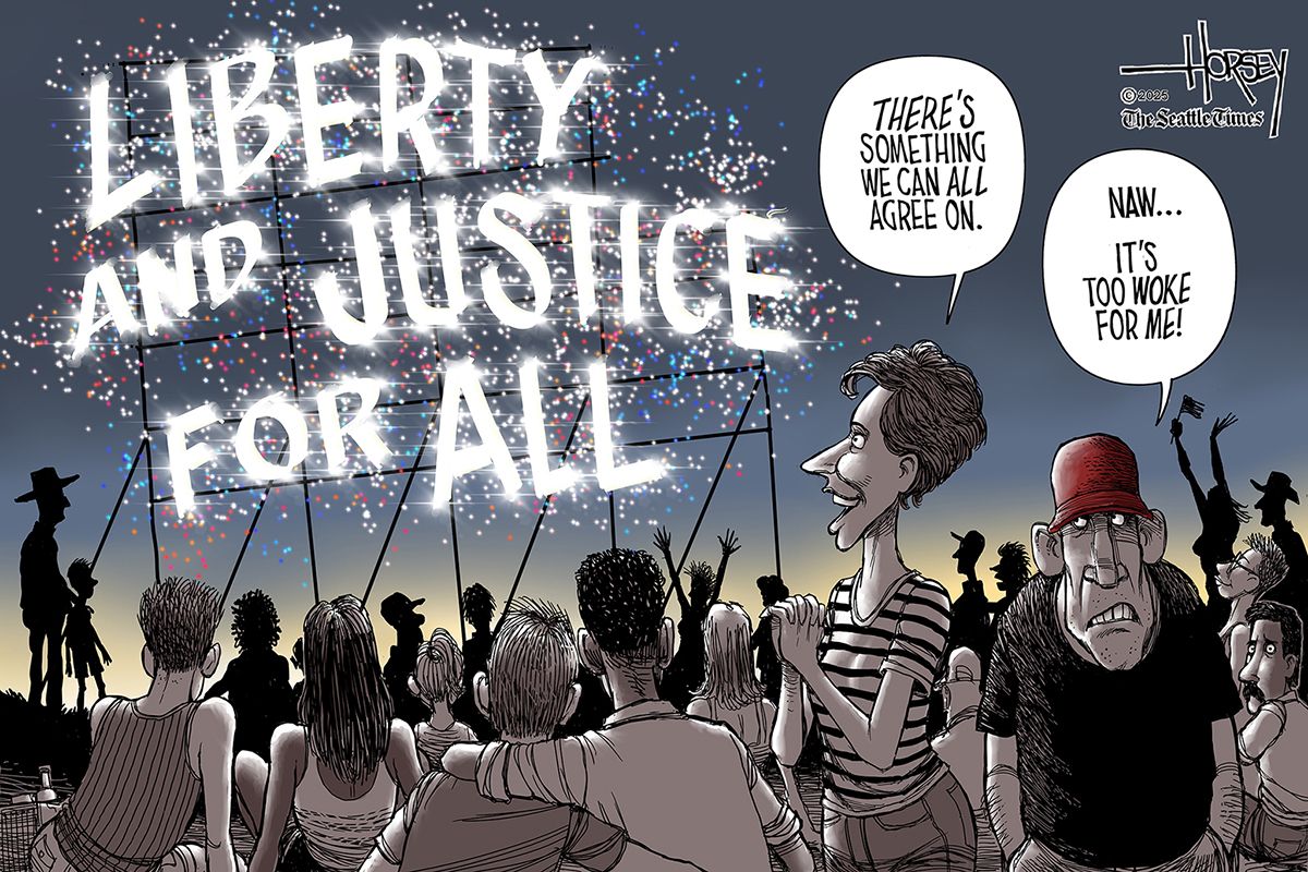 
                                This political cartoon takes place outside where a crowd of people are watching fireworks. The fireworks spell out, “Liberty and justice for all.” A woman says, “There’s something we can all agree on.” An angry man in a red hat says, “Naw…it’s too woke for me!”
                            