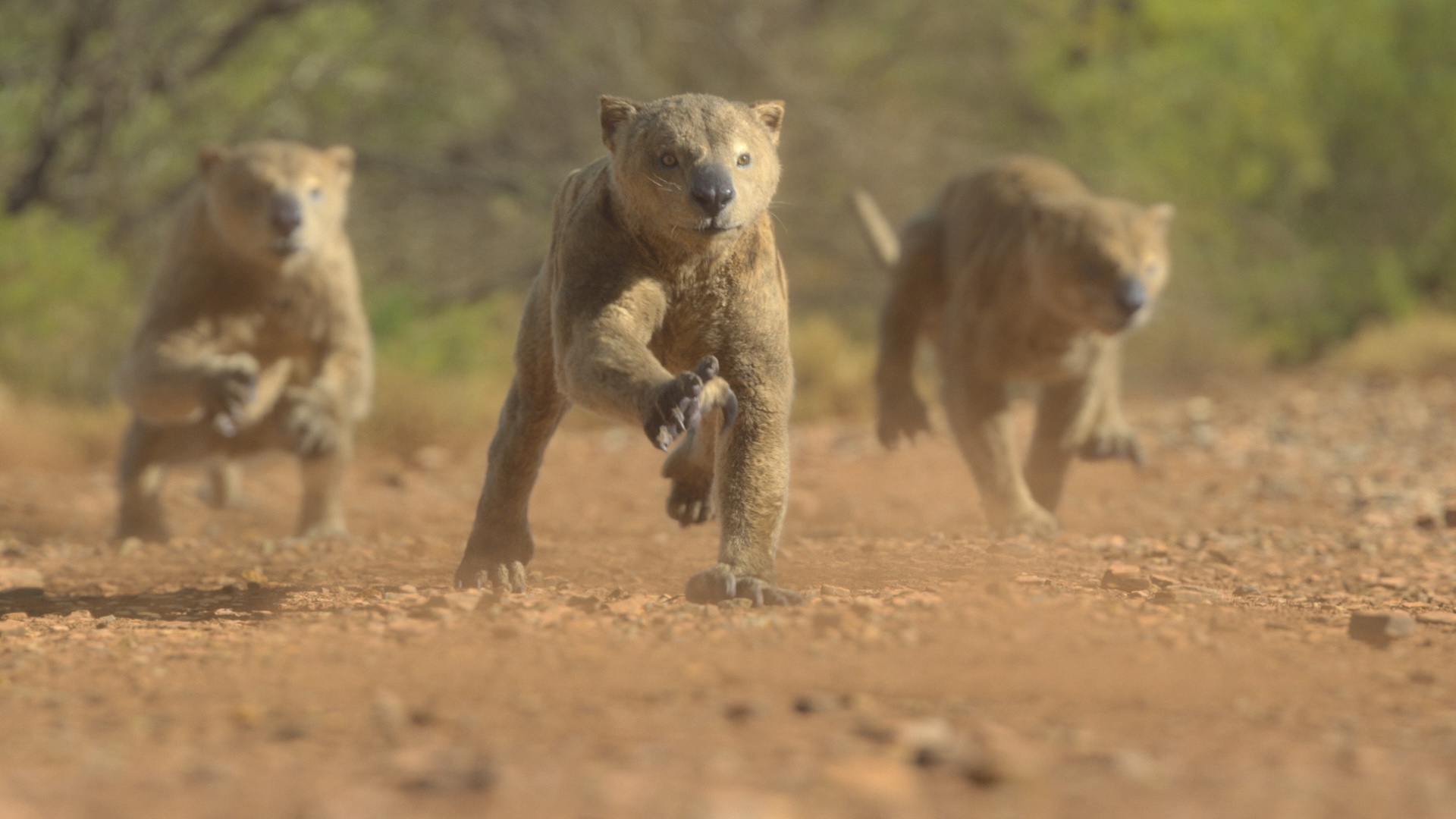 Stills from the natural history show Prehistoric Planet: Ice Age