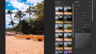 Beach scene with different presets applied
