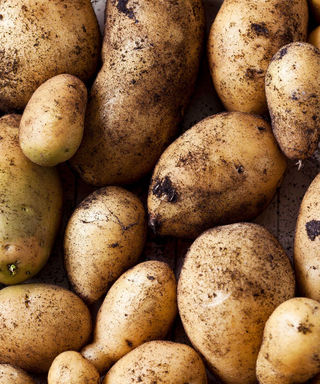 Potato blight explained plus Monty Don's tips for treatment