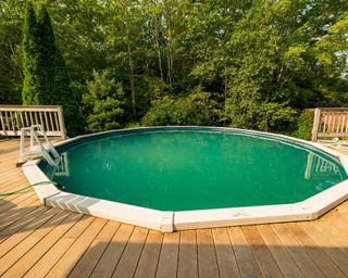 above ground pool in deck with tree view