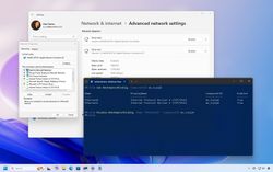 Windows 10 networking command tools every user needs to know | Windows ...