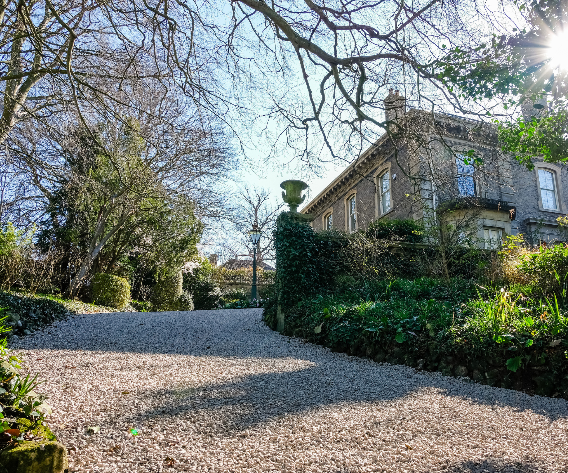 Gravel driveway with green hedges and plants on either side and a house round the right corner