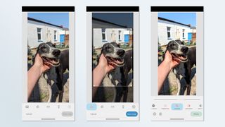 A photo of a dog being editing in the Pixtica smartphone app