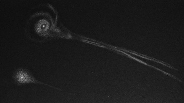 grey-scale swirls against a black sky