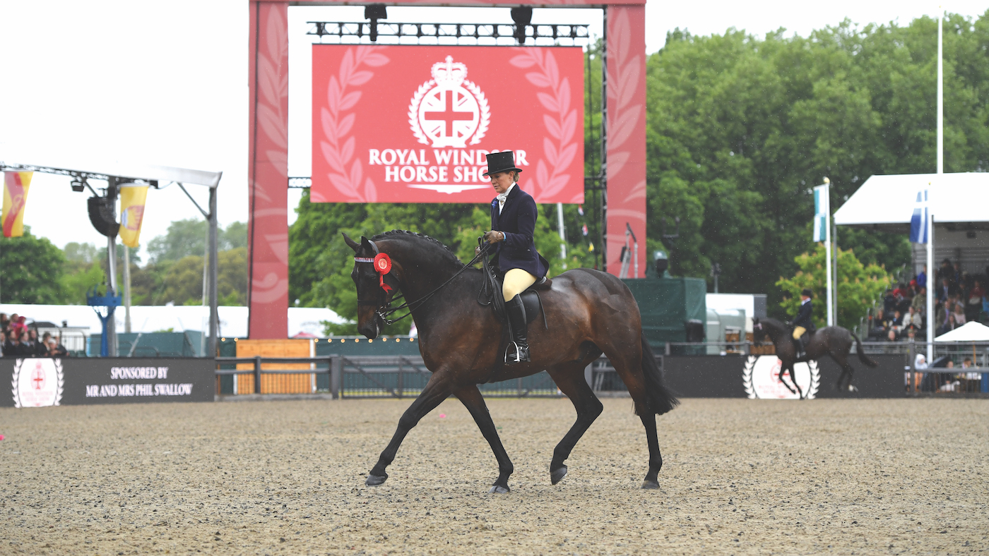 Times Square, initially trained as a hack but went on to become a riding horse champion
